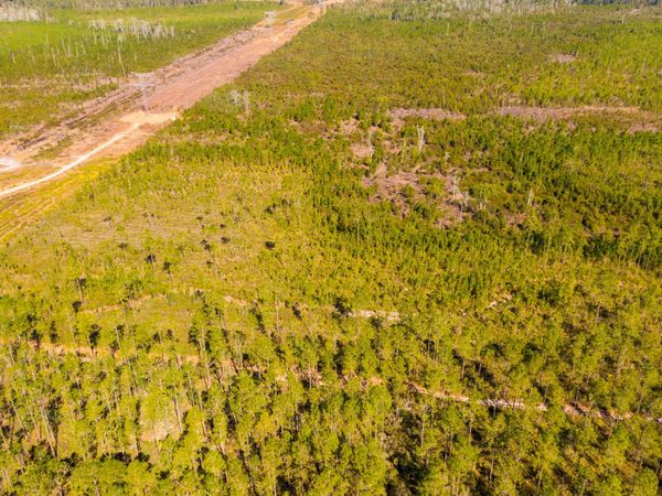 0000 Ne 125th Ave, Fort McCoy, FL 32134