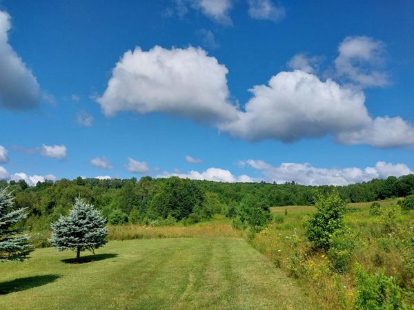 00 Walden Hill Road, Unit 2, Danville, VT 05828