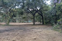 111 Roberta Drive photo 4