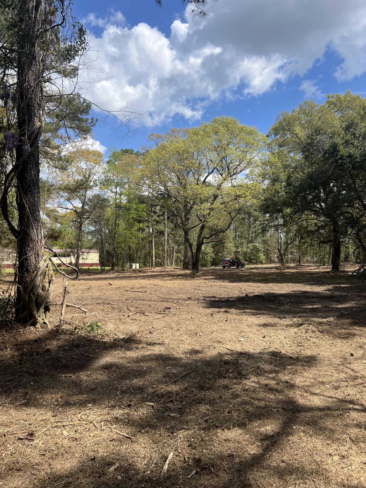 111 Roberta Drive Photo 4