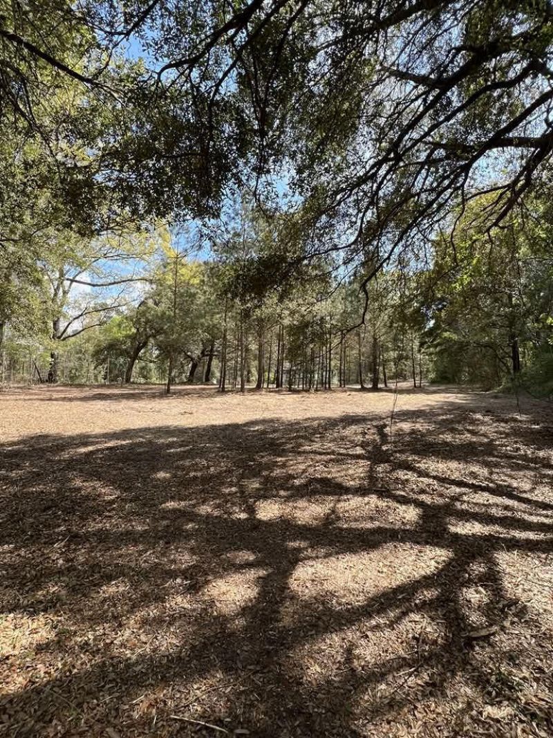 111 Roberta Drive Photo 7