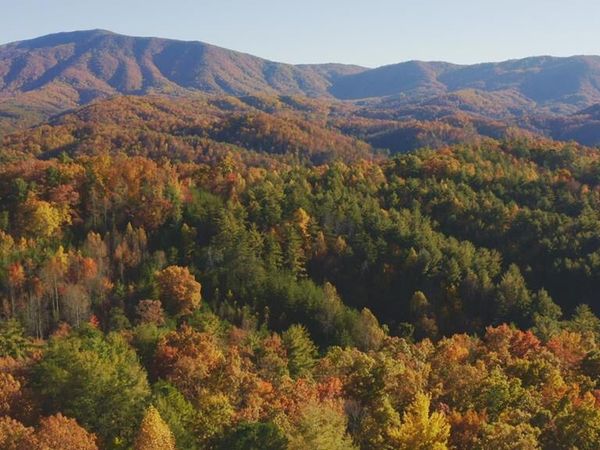 410 Seay Hollow Road Road, Del Rio, TN 37727