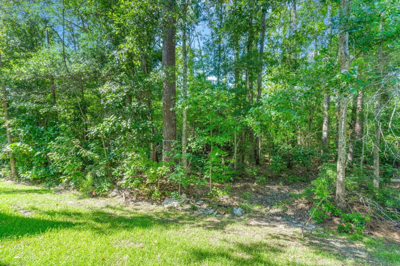 125 Orchid Bloom Circle Photo 27