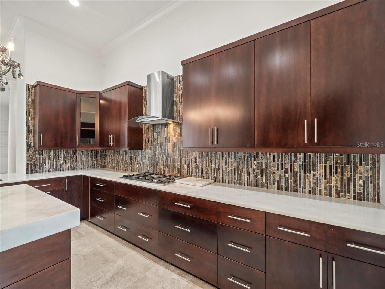 4529 Cheval Boulevard, Lutz, FL 33558 Photo