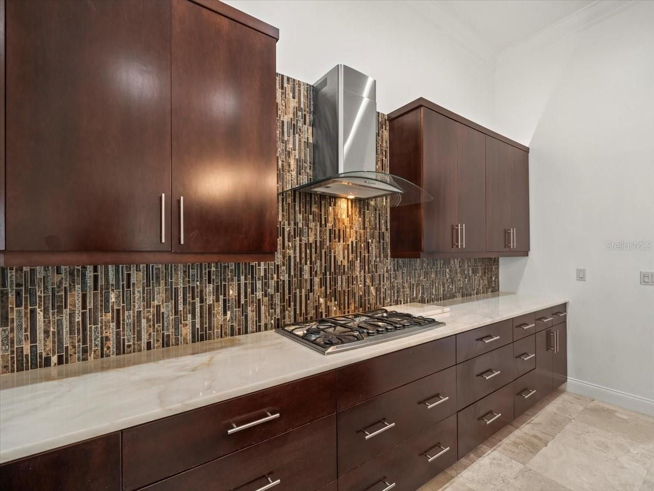 4529 Cheval Boulevard, Lutz, FL 33558 Photo