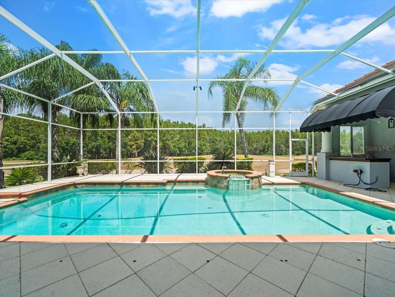 4529 Cheval Boulevard, Lutz, FL 33558 Photo