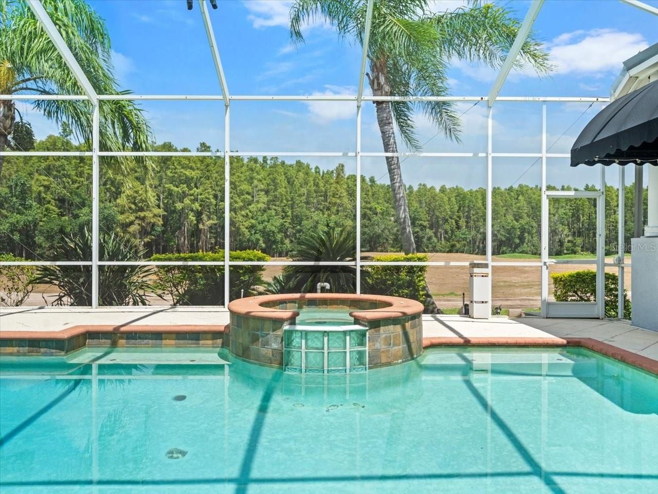 4529 Cheval Boulevard, Lutz, FL 33558 Photo