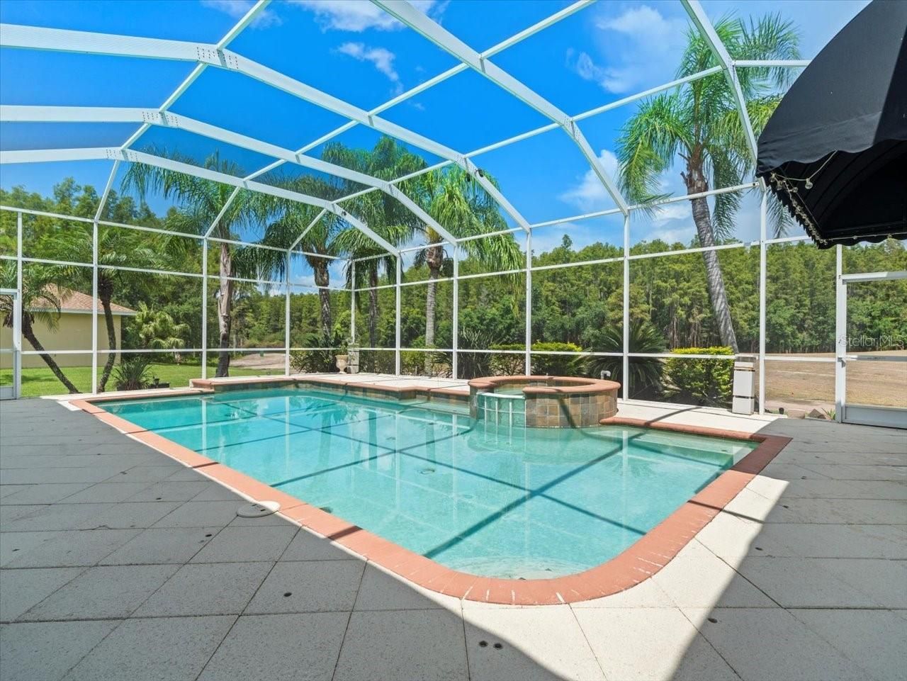 4529 Cheval Boulevard, Lutz, FL 33558 Photo