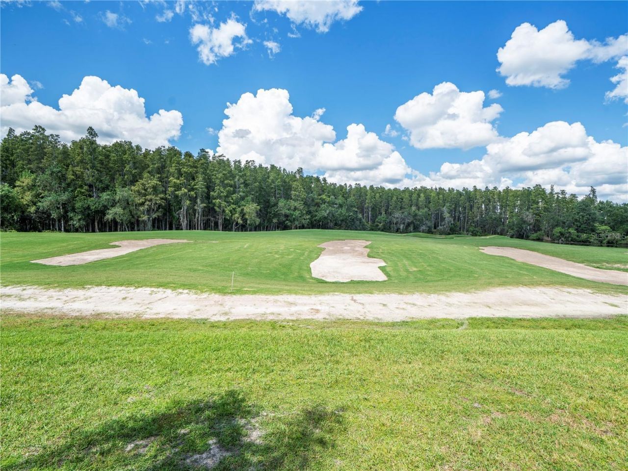 4529 Cheval Boulevard, Lutz, FL 33558 Photo