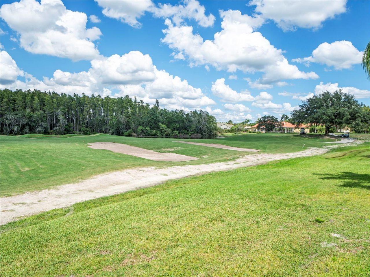 4529 Cheval Boulevard, Lutz, FL 33558 Photo