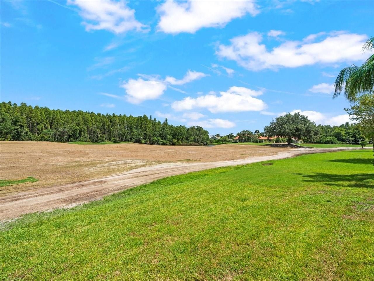 4529 Cheval Boulevard, Lutz, FL 33558 Photo