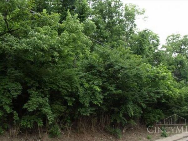 1642 Sutter Avenue, Cincinnati, OH 45225