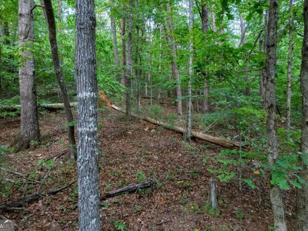 LOT 6 Heatherwood Way, Talking Rock, GA 30175