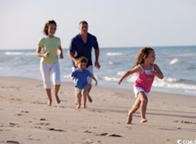 150 River Birch Dr. Photo 34