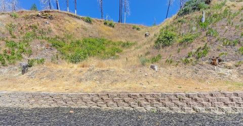 7255 Winding Way, Grizzly Flats, CA 95636 Photo