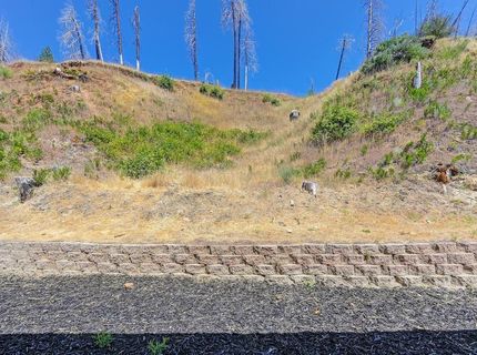 7255 Winding Way, Grizzly Flats, CA 95636 Photo