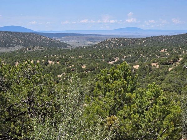 Lot 1615 Dunn Road, San Luis, CO 81152