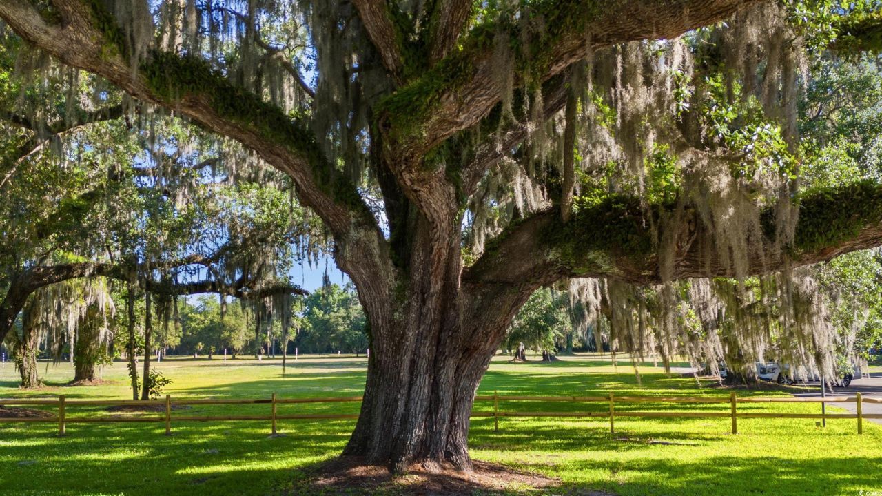 908 Francis Parker Rd. Photo 21