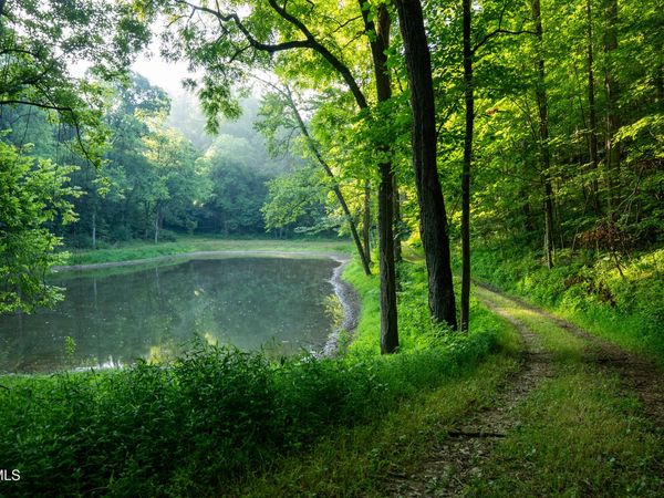 502/Ac Tbd Gregory Road, Sneedville, TN 37869