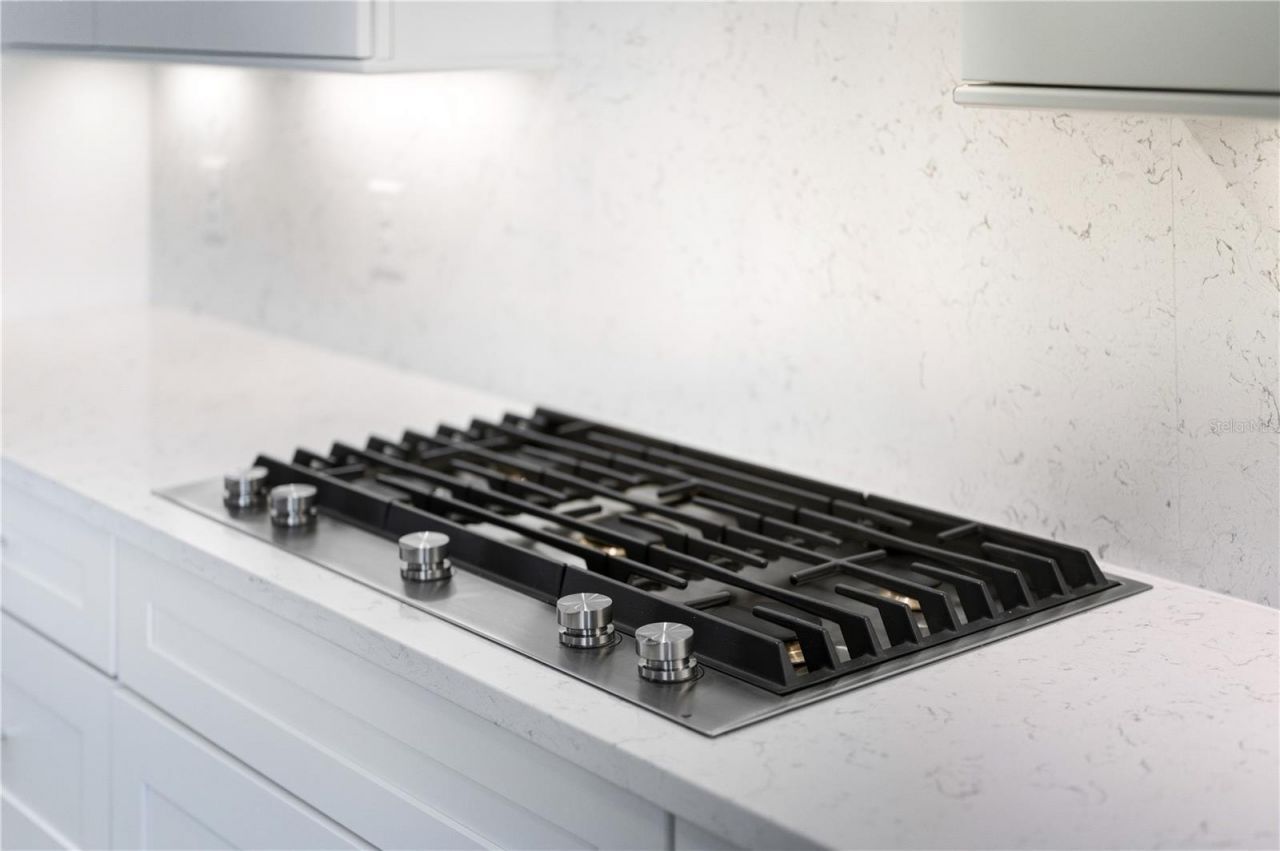 8061 Nevis Run, Bradenton, FL 34202 Photo