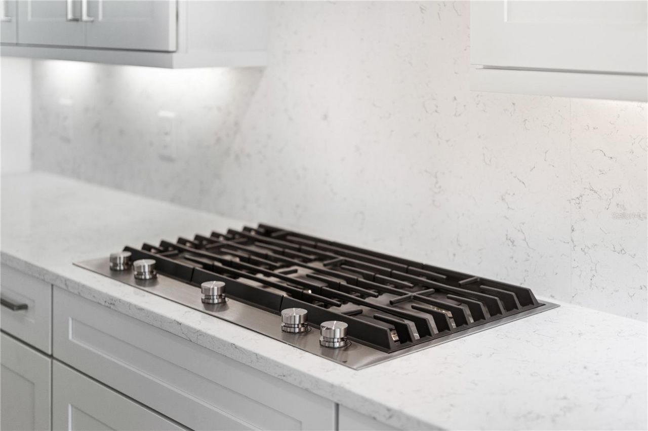 8065 Nevis Run, Bradenton, FL 34202 Photo