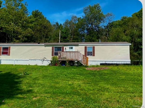 811 Briscoe, Liberty, NY 12783