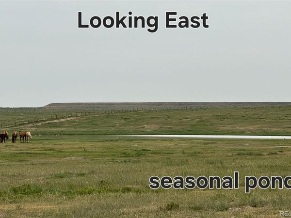 county rd 96 lot 2, Pierce, CO 80520