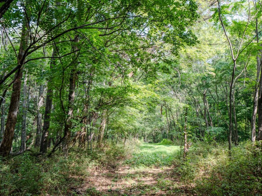 Property Image 30