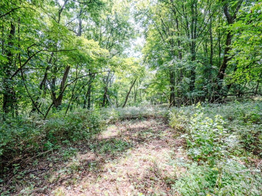 Property Image 36
