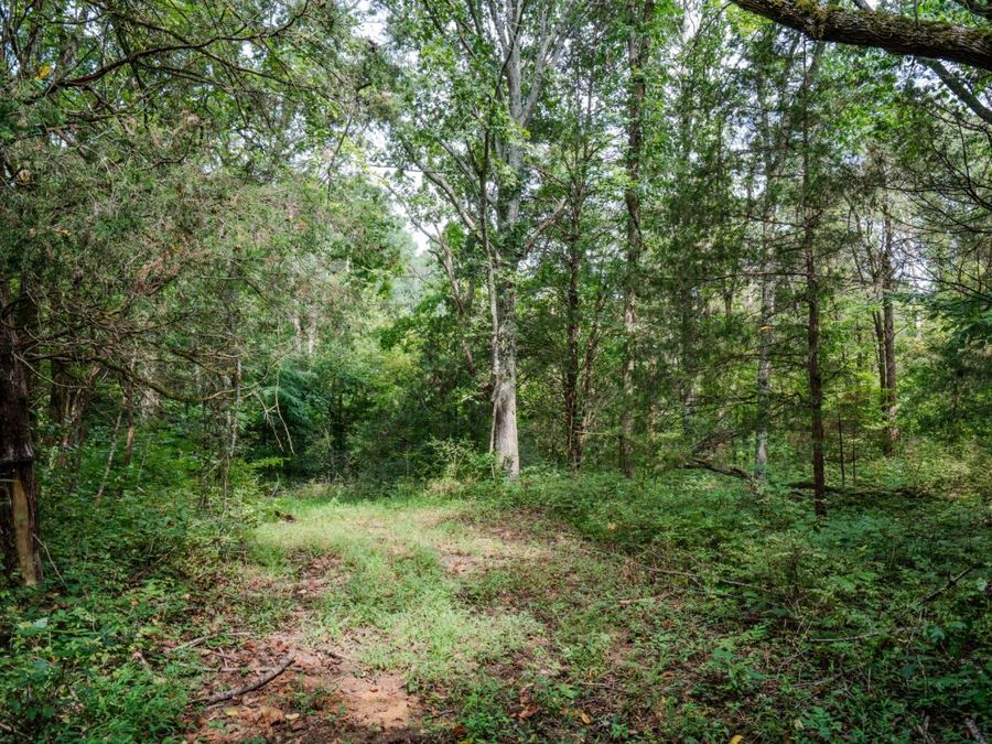 Property Image 47