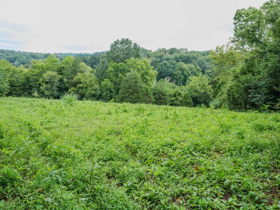 Property Image 52