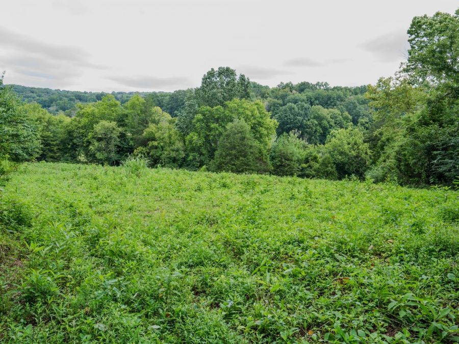 Property Image 53