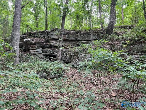 381 Worthington Lane, Guntersville, AL 35976