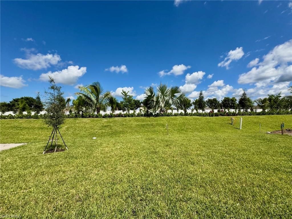 14491 Cumbria Ct, Fort Myers, FL 33905 Photo