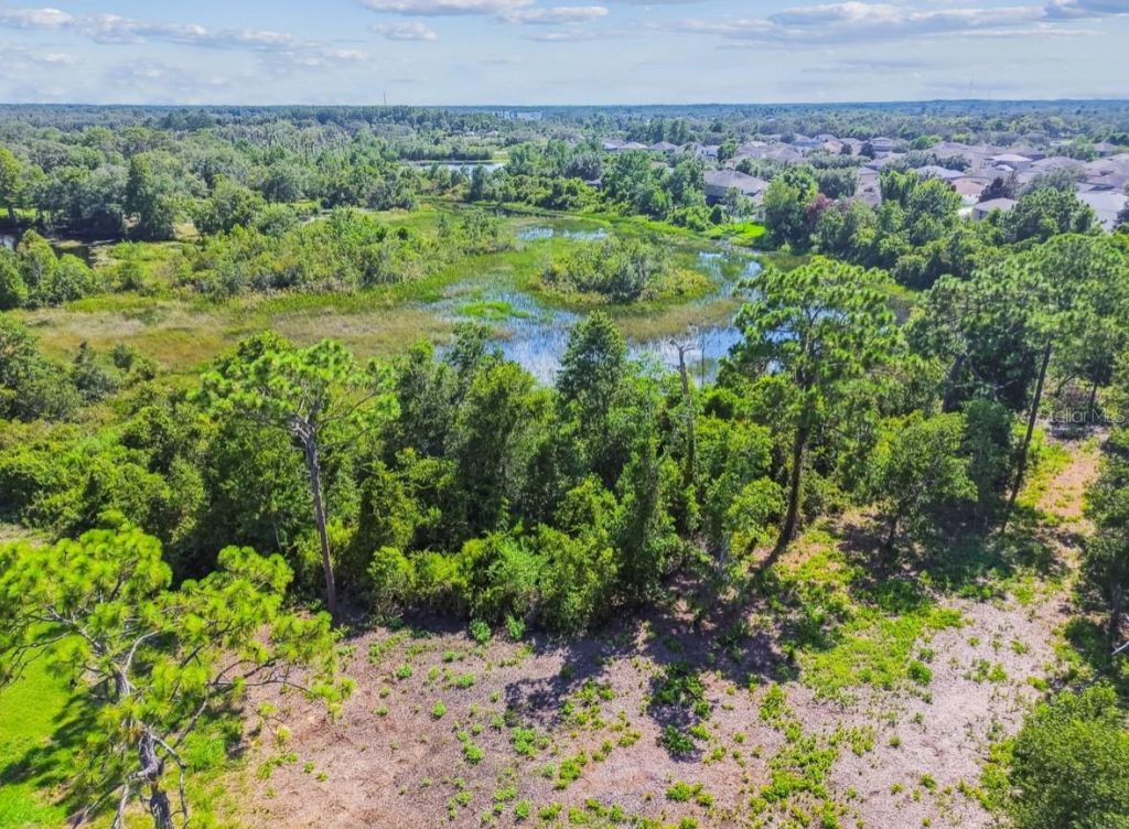 12321 Shady Hills Road, Spring Hill, FL 34610 Photo