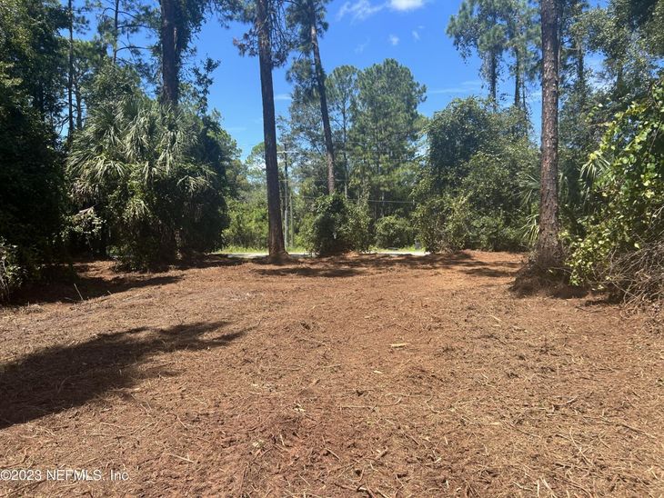 162 Whispering Pines Road, Georgetown, FL 32139