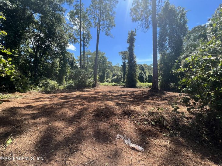 162 Whispering Pines Road, Georgetown, FL 32139