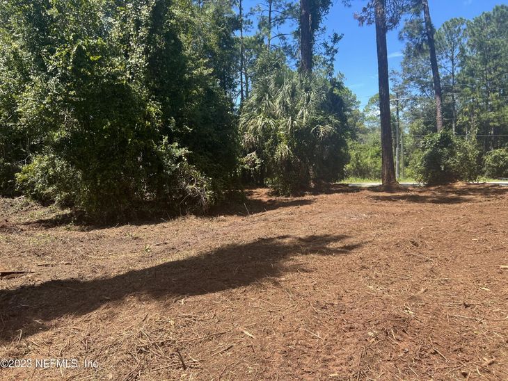 162 Whispering Pines Road, Georgetown, FL 32139
