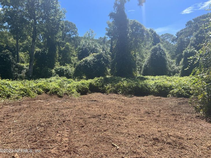 162 Whispering Pines Road, Georgetown, FL 32139