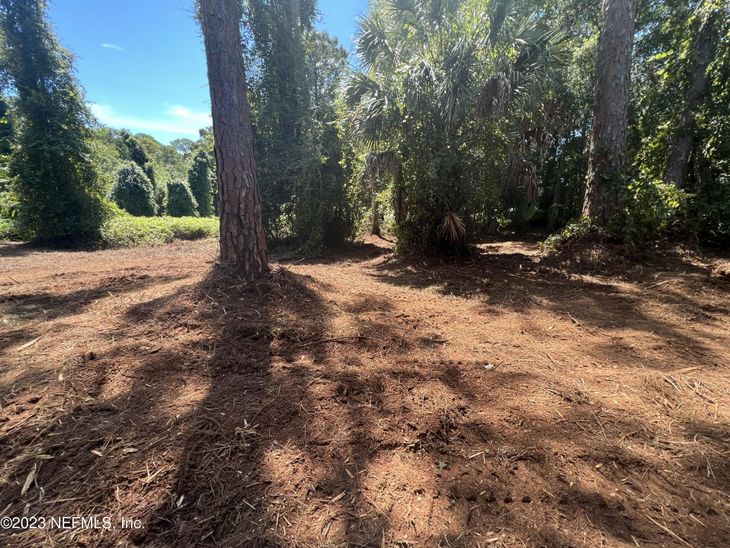 162 Whispering Pines Road, Georgetown, FL 32139