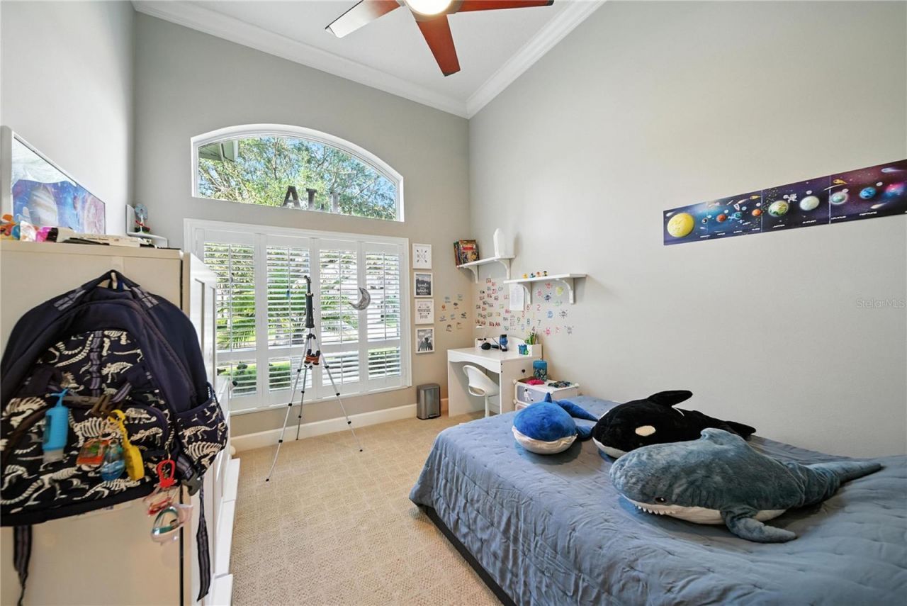 17210 Broadoak Drive, Tampa, FL 33647 Photo