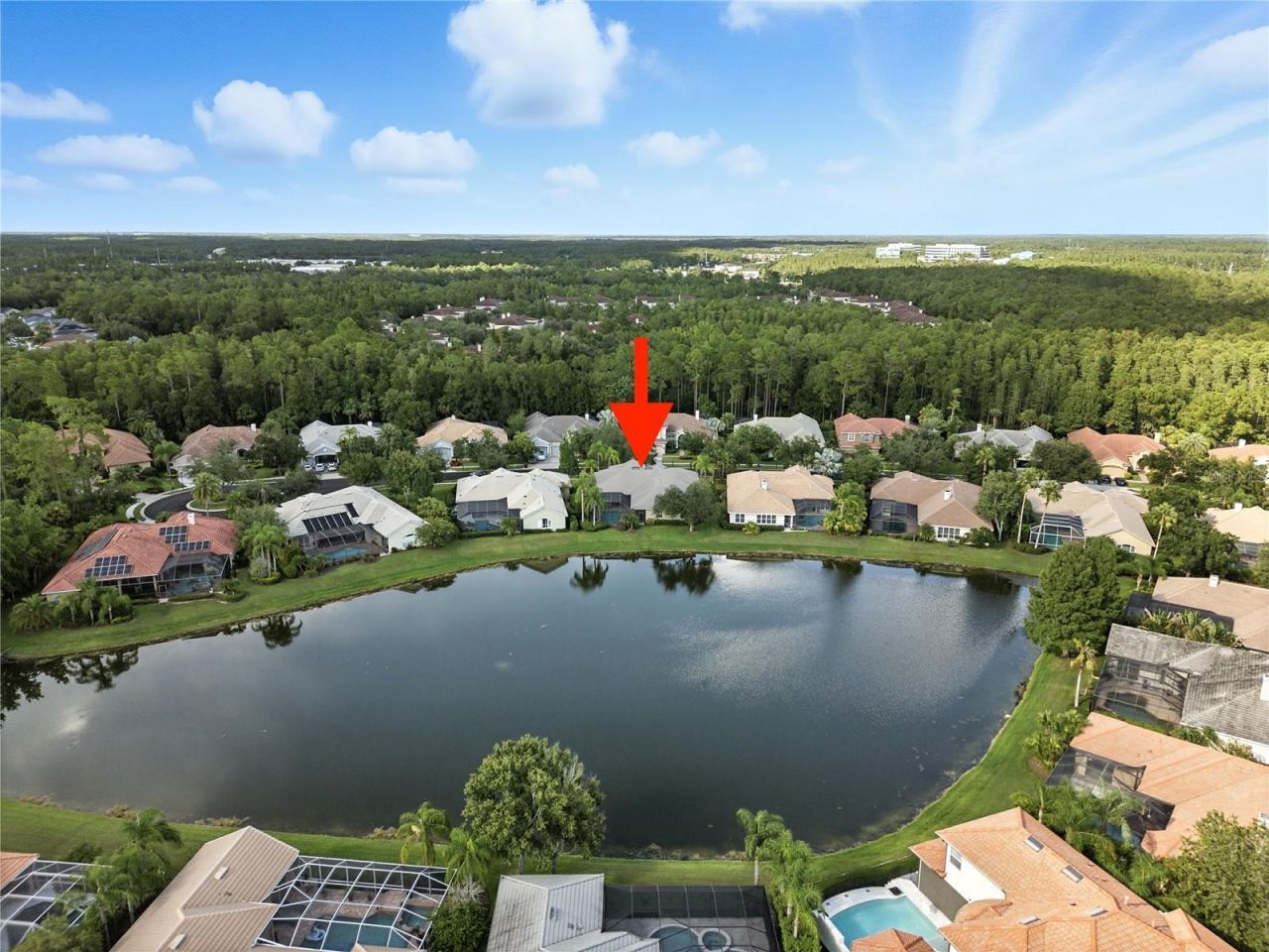 17210 Broadoak Drive, Tampa, FL 33647 Photo