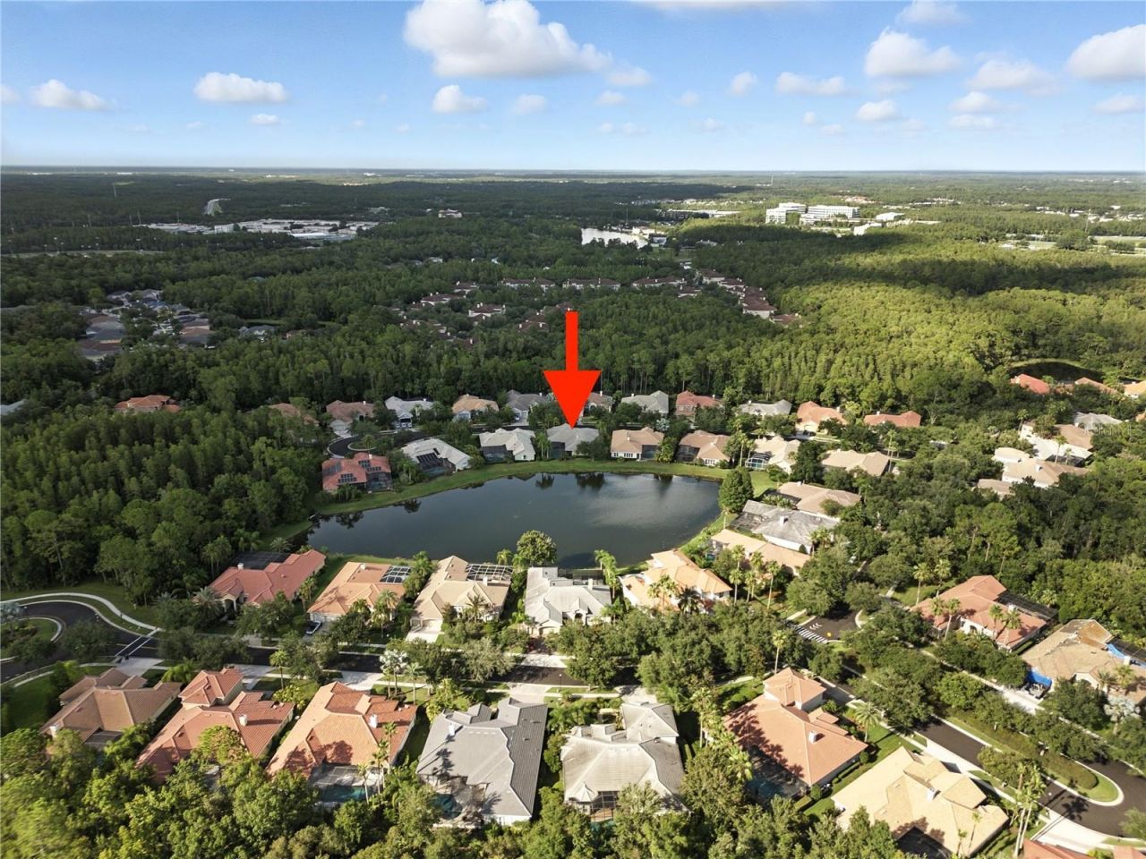 17210 Broadoak Drive, Tampa, FL 33647 Photo