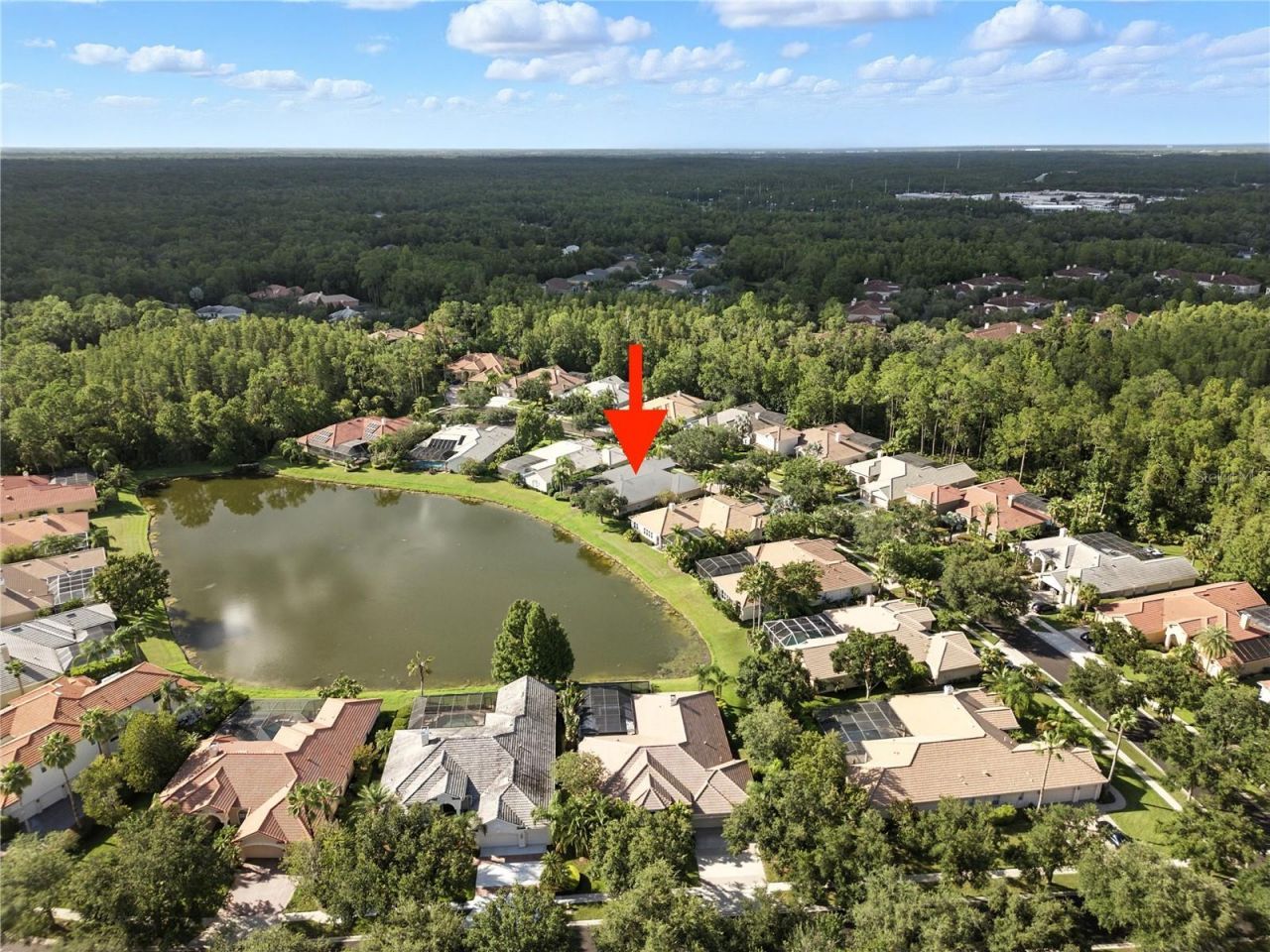 17210 Broadoak Drive, Tampa, FL 33647 Photo