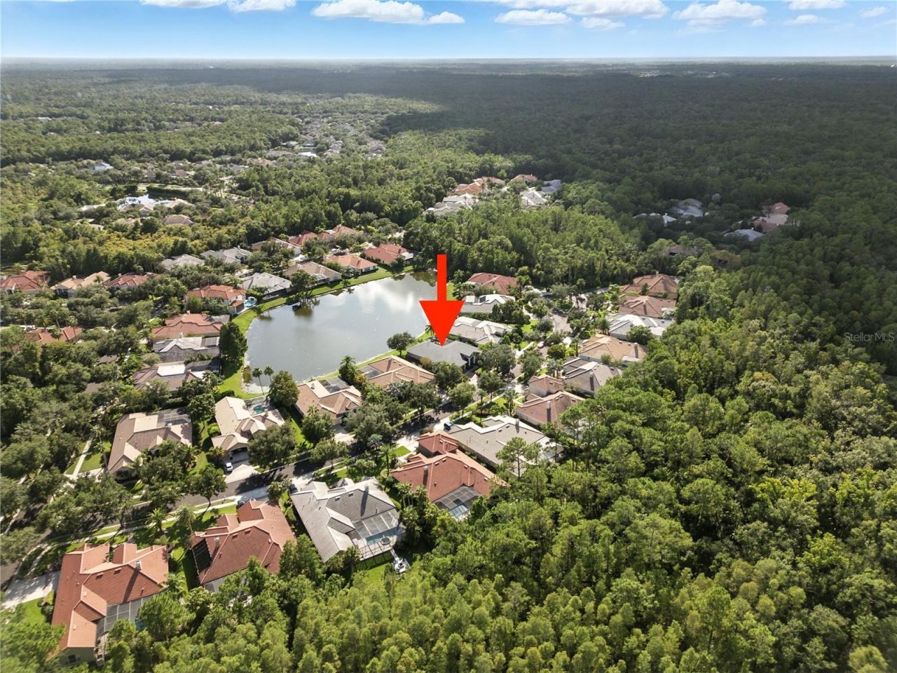 17210 Broadoak Drive, Tampa, FL 33647 Photo