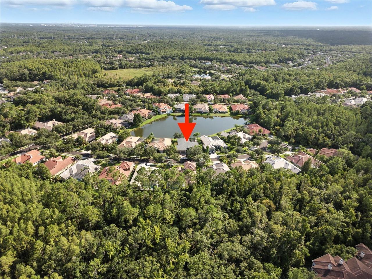 17210 Broadoak Drive, Tampa, FL 33647 Photo