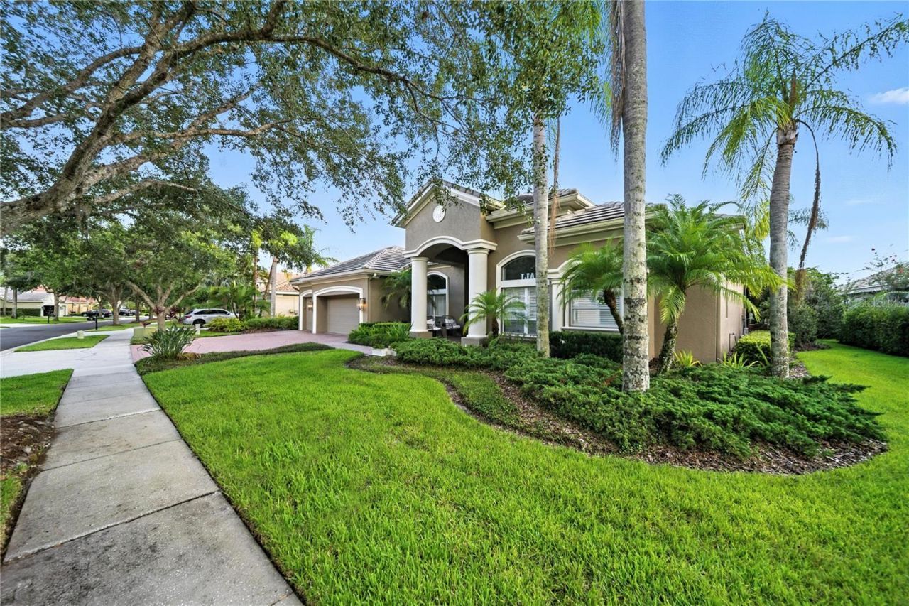 17210 Broadoak Drive, Tampa, FL 33647 Photo