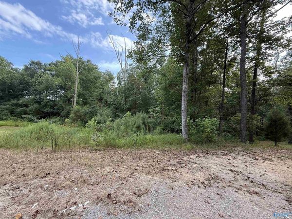 0.66 AC County Road 1606, Cullman, AL 35058