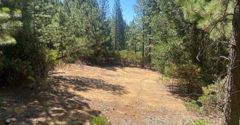 Wildrose Dr, Grizzly Flats, CA 95636 Photo