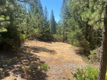 Wildrose Dr, Grizzly Flats, CA 95636 Photo